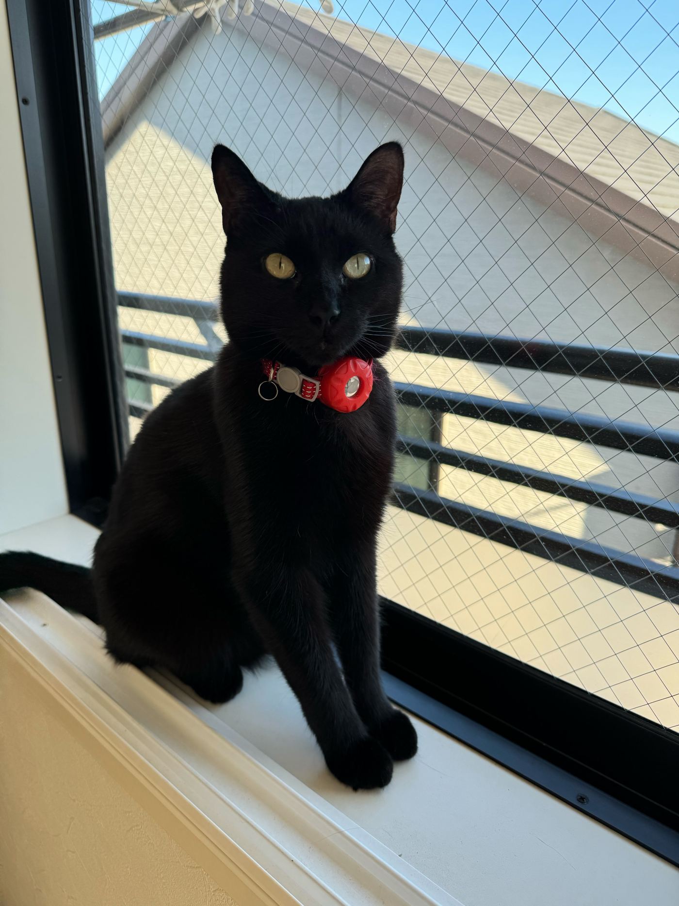 KiKi the black cat sitting on a balcony window sill in Japan